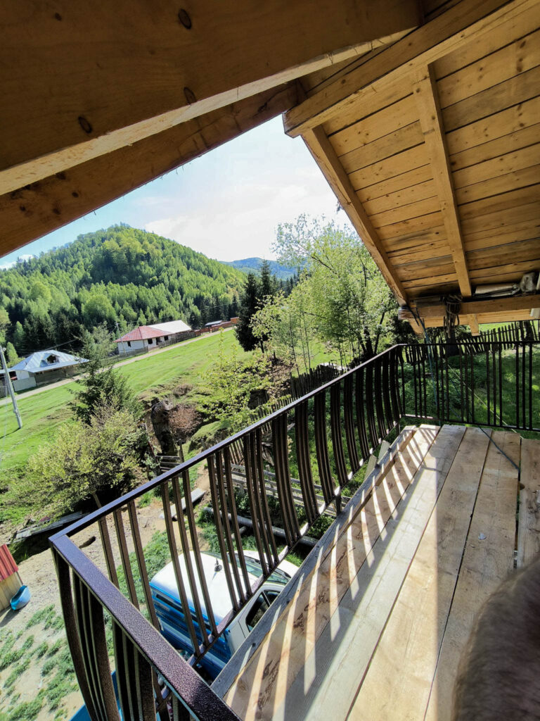 whatsapp image 2026 02 12 at 15.37.56